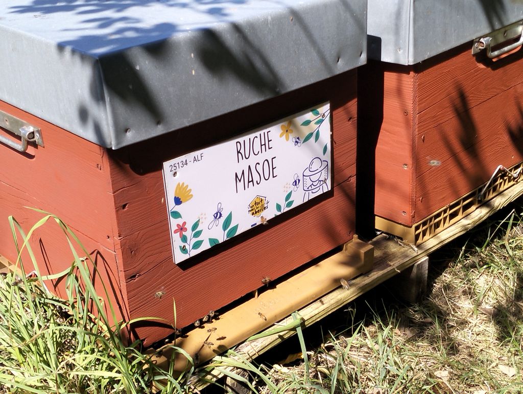 La ruche Masoe