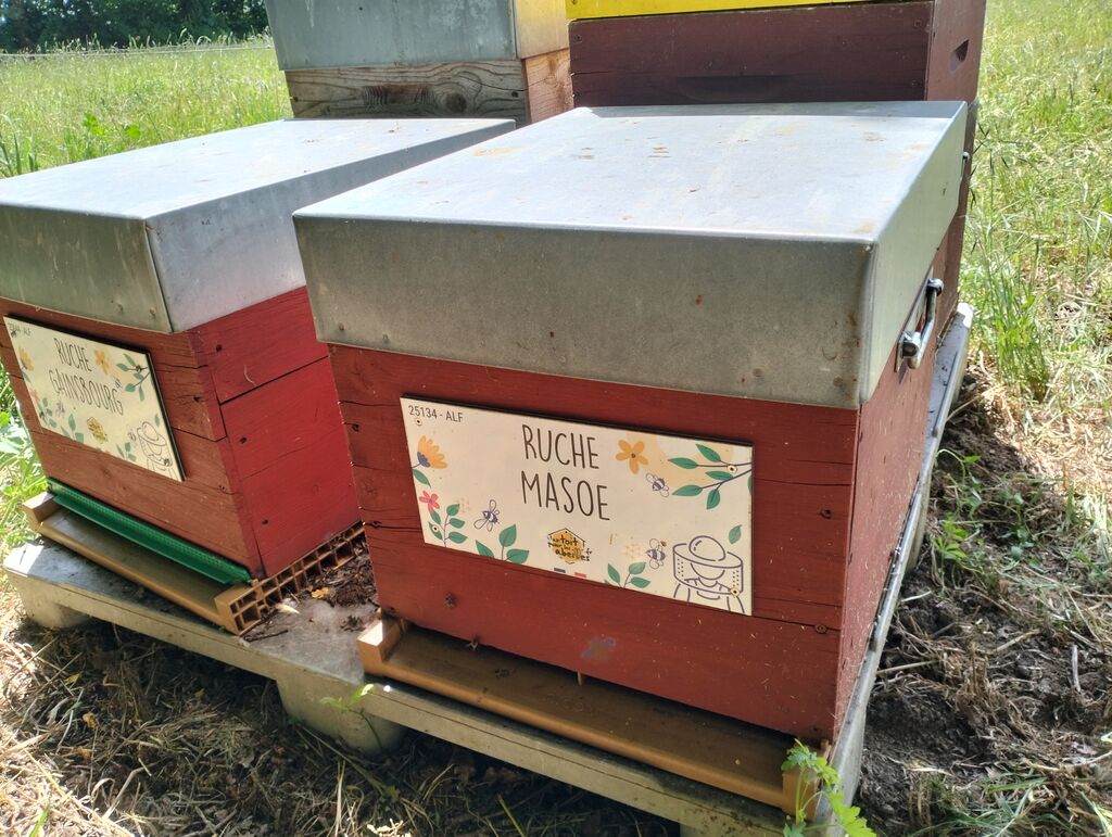 La ruche Masoe