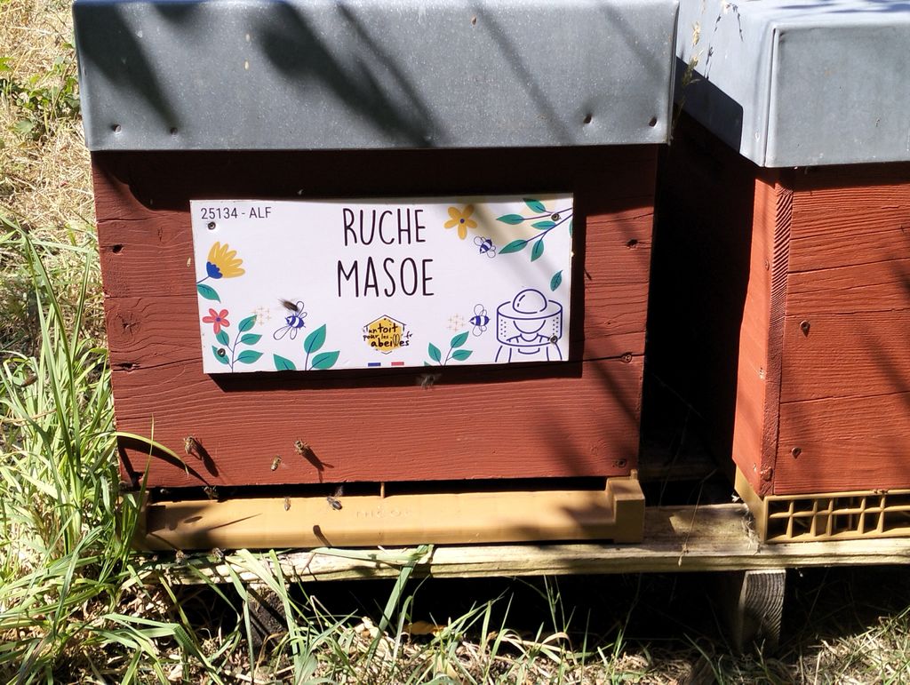 La ruche Masoe