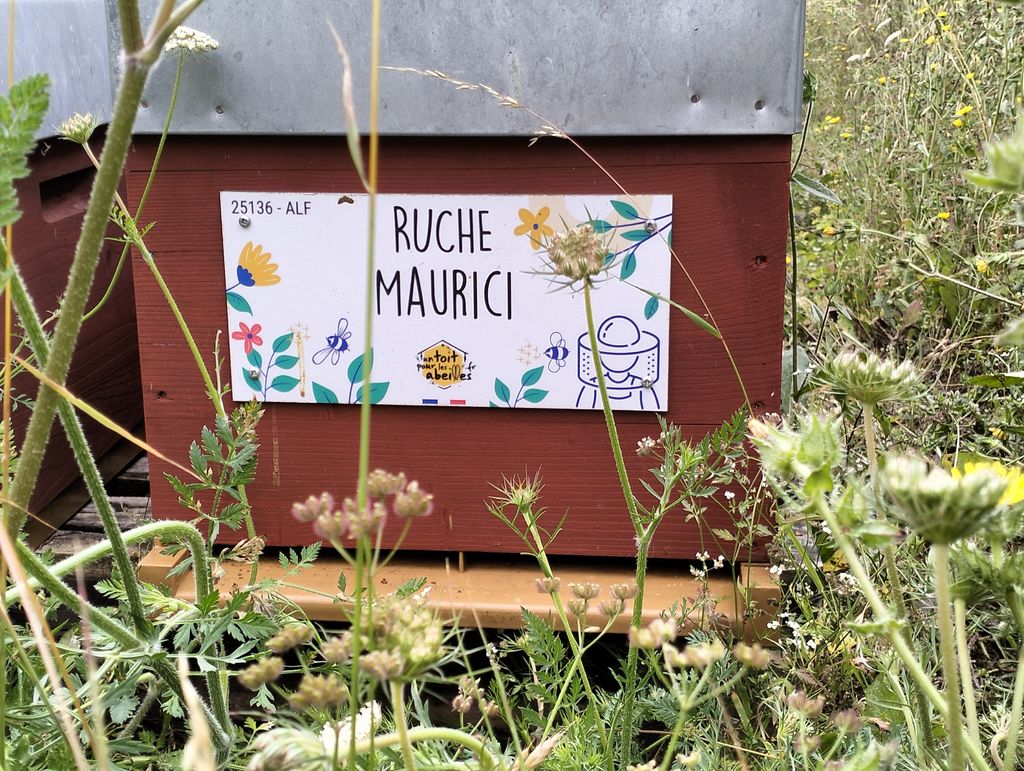 La ruche Maurici