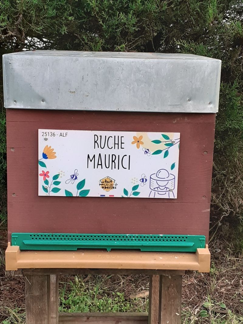 La ruche Maurici