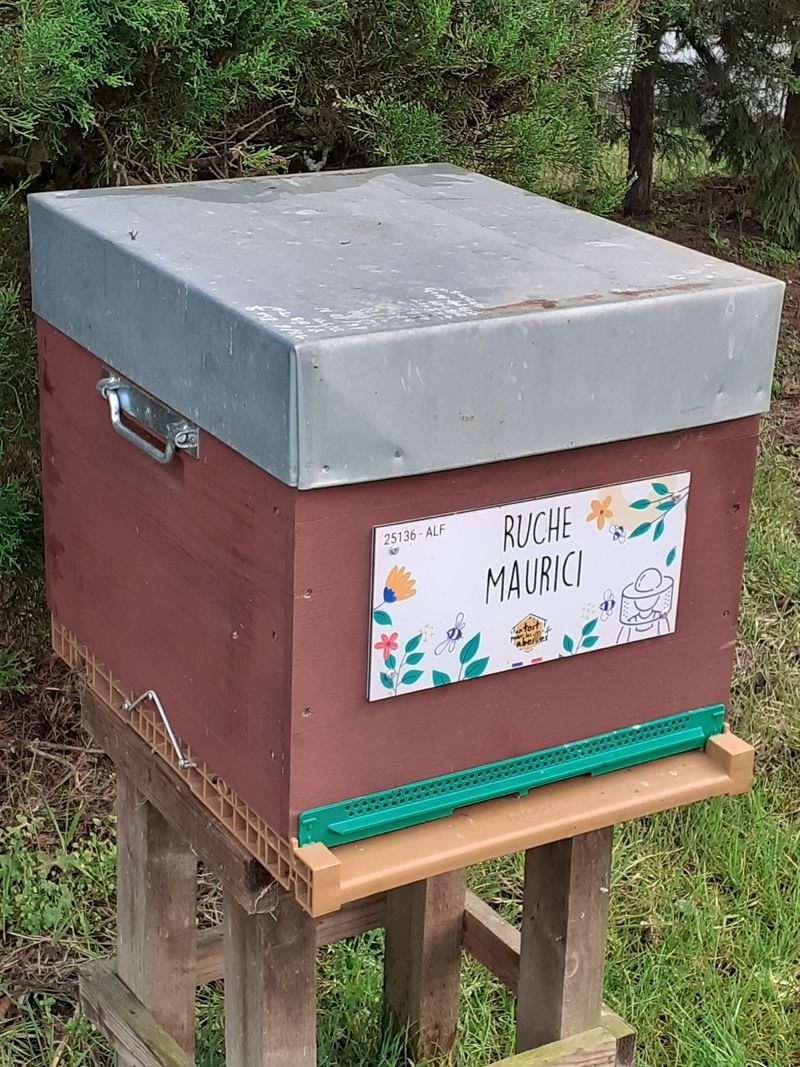 La ruche Maurici