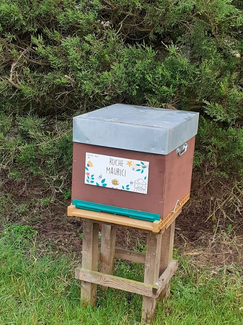 La ruche Maurici