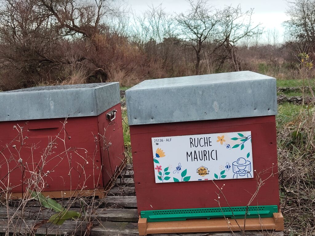 La ruche Maurici