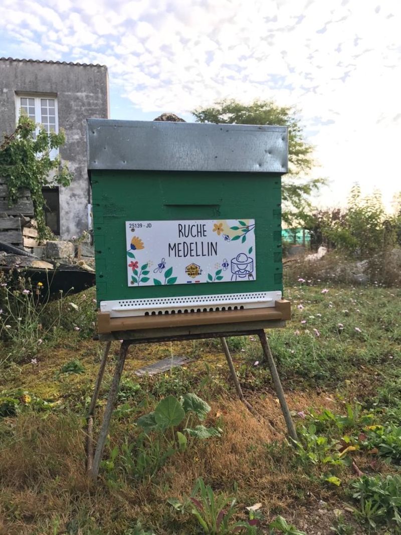La ruche Medellin