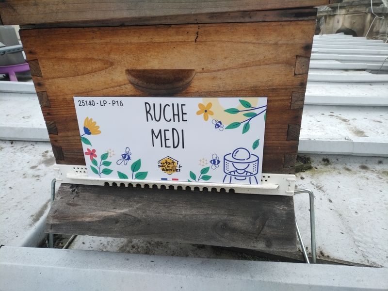 La ruche