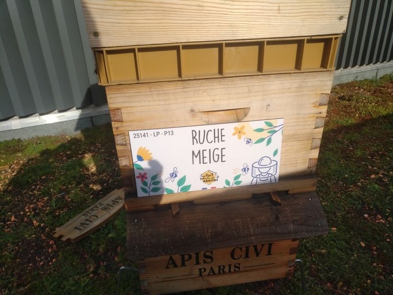 La ruche