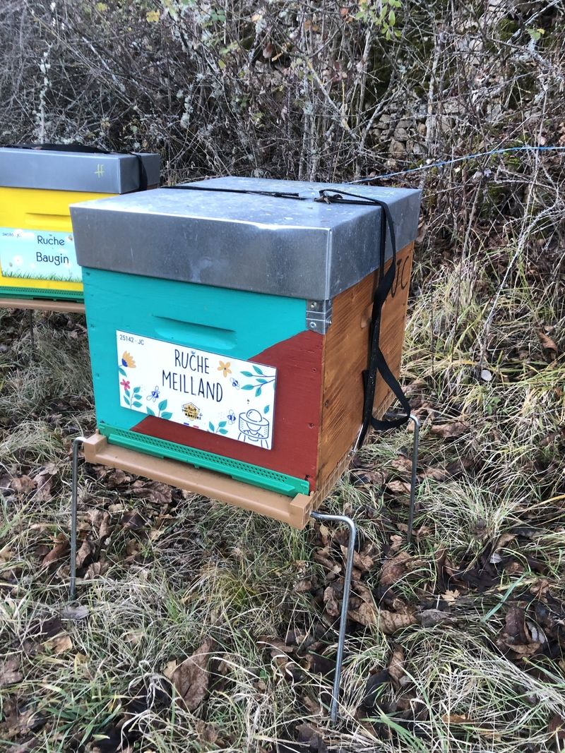La ruche Meilland