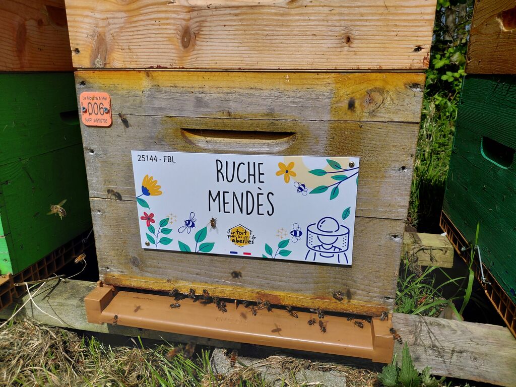 La ruche Mendès