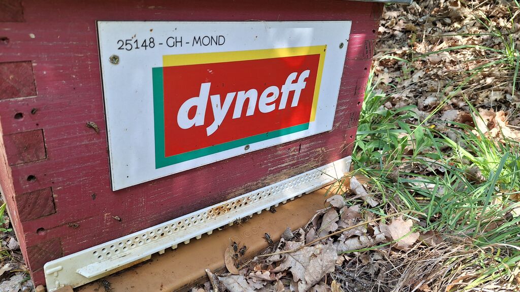 La ruche DYNEFF - TOULOUSE SUD NORD