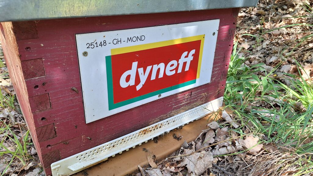La ruche DYNEFF - TOULOUSE SUD NORD