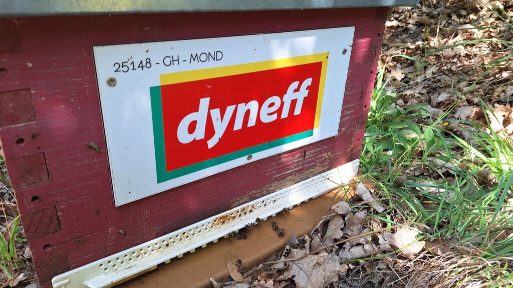 La ruche DYNEFF - TOULOUSE SUD NORD