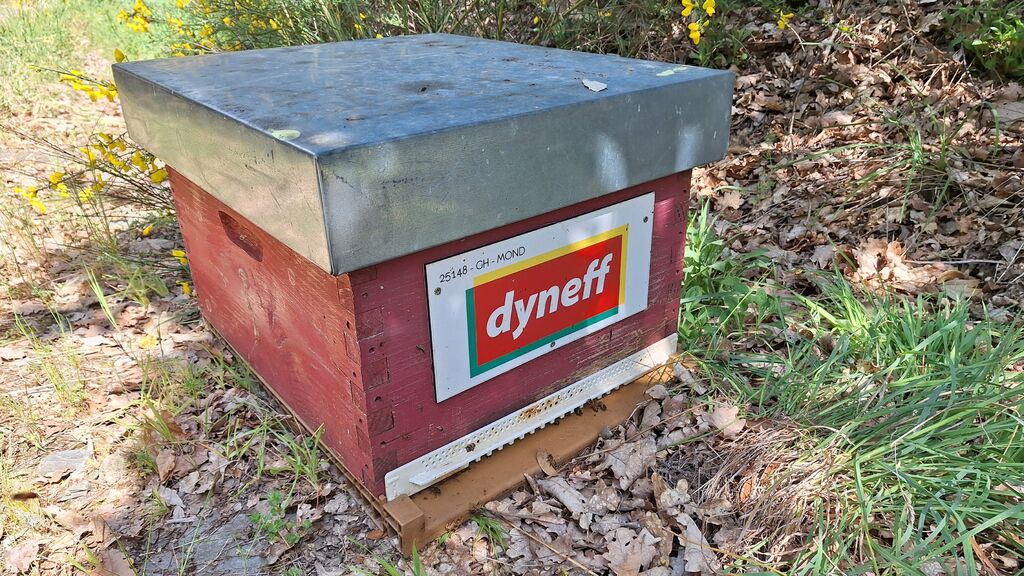 La ruche DYNEFF - TOULOUSE SUD NORD
