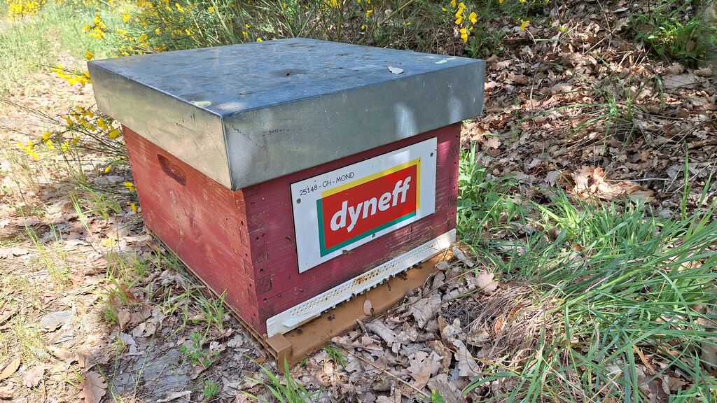 La ruche DYNEFF - TOULOUSE SUD NORD