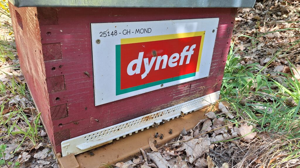 La ruche DYNEFF - TOULOUSE SUD NORD
