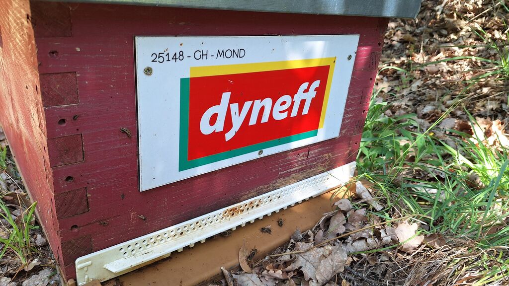 La ruche DYNEFF - TOULOUSE SUD NORD