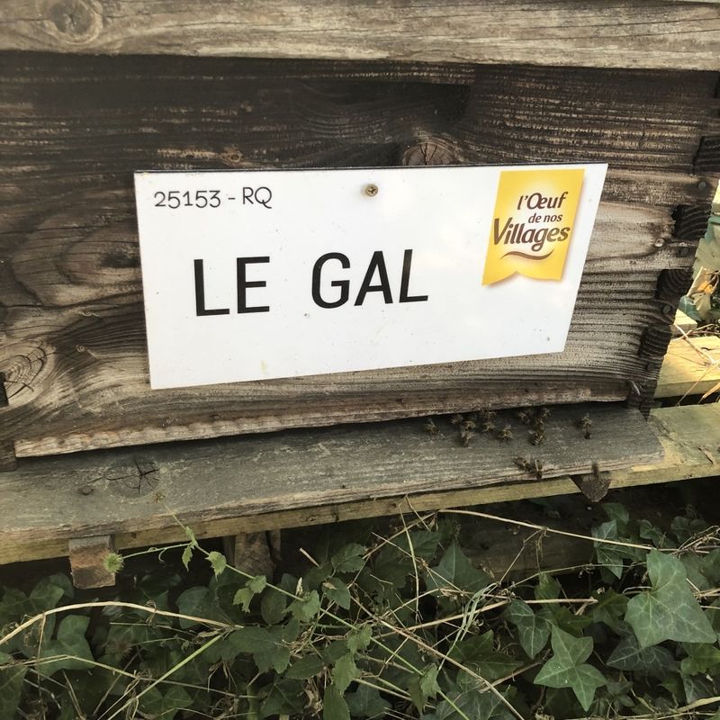 La ruche LE GAL