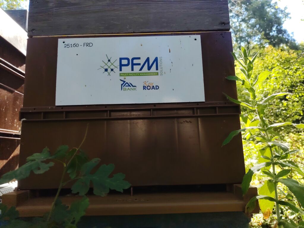 La ruche Pfm-solutions
