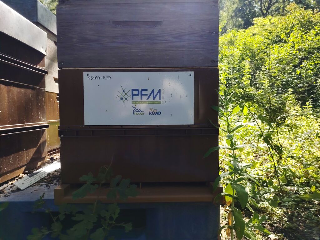 La ruche Pfm-solutions
