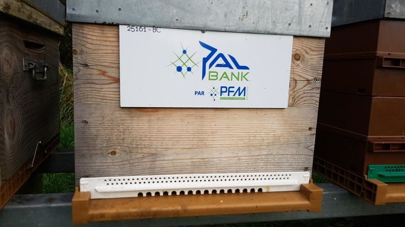 La ruche PFM-Solutions