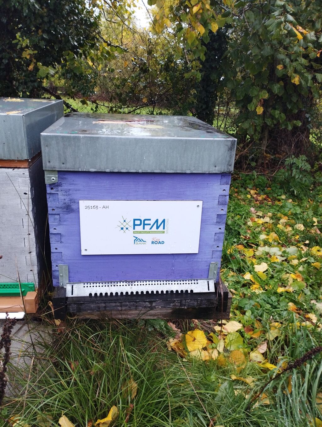 La ruche Pfm-solutions