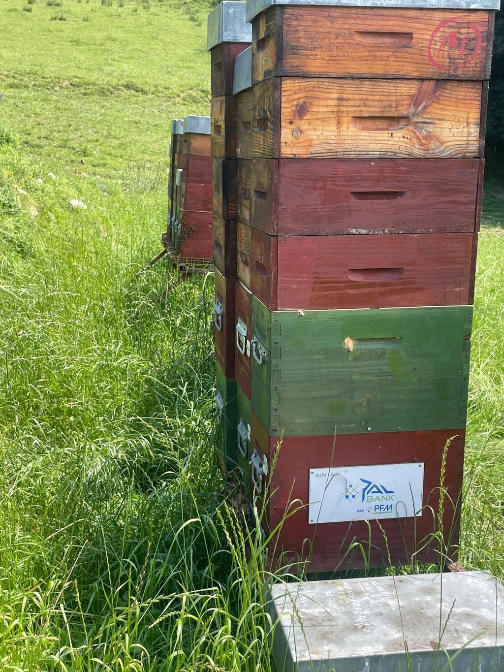 La ruche Pfm-solutions
