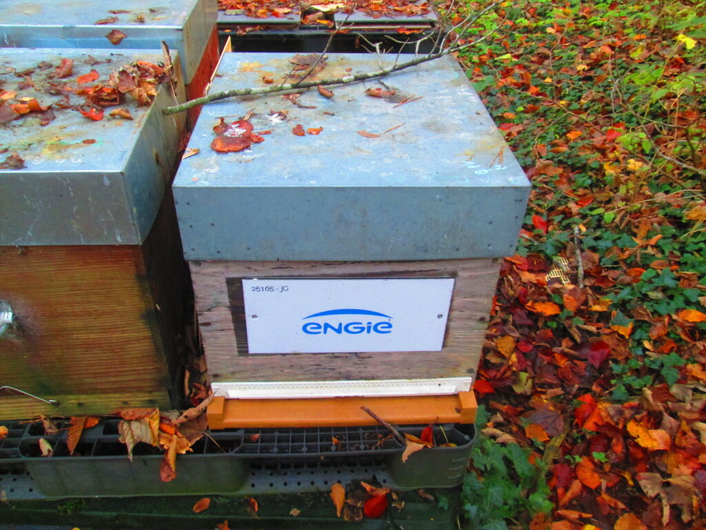 La ruche ENGIE - MPPA