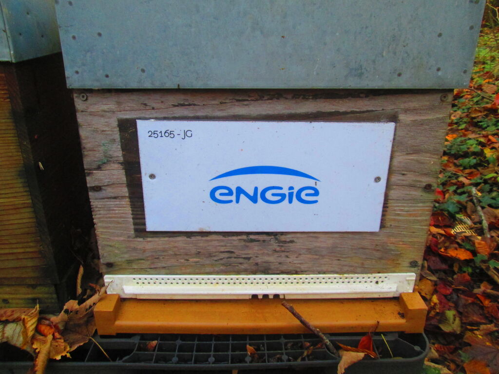 La ruche ENGIE - MPPA