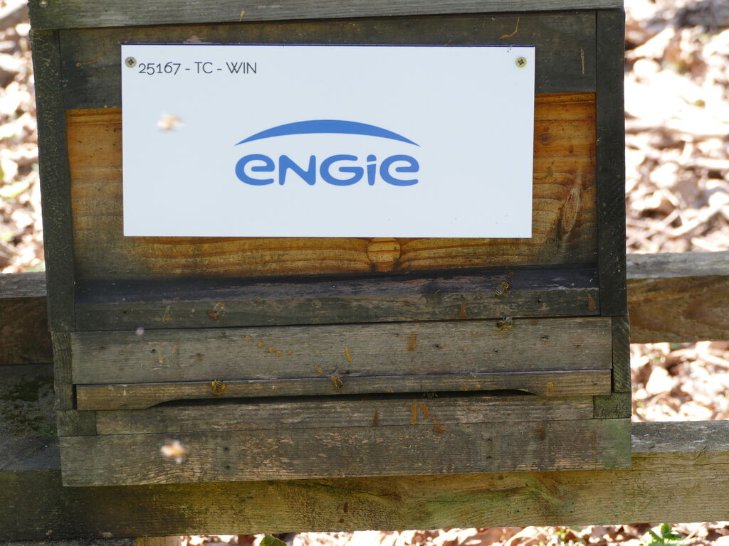 La ruche ENGIE - MPPA