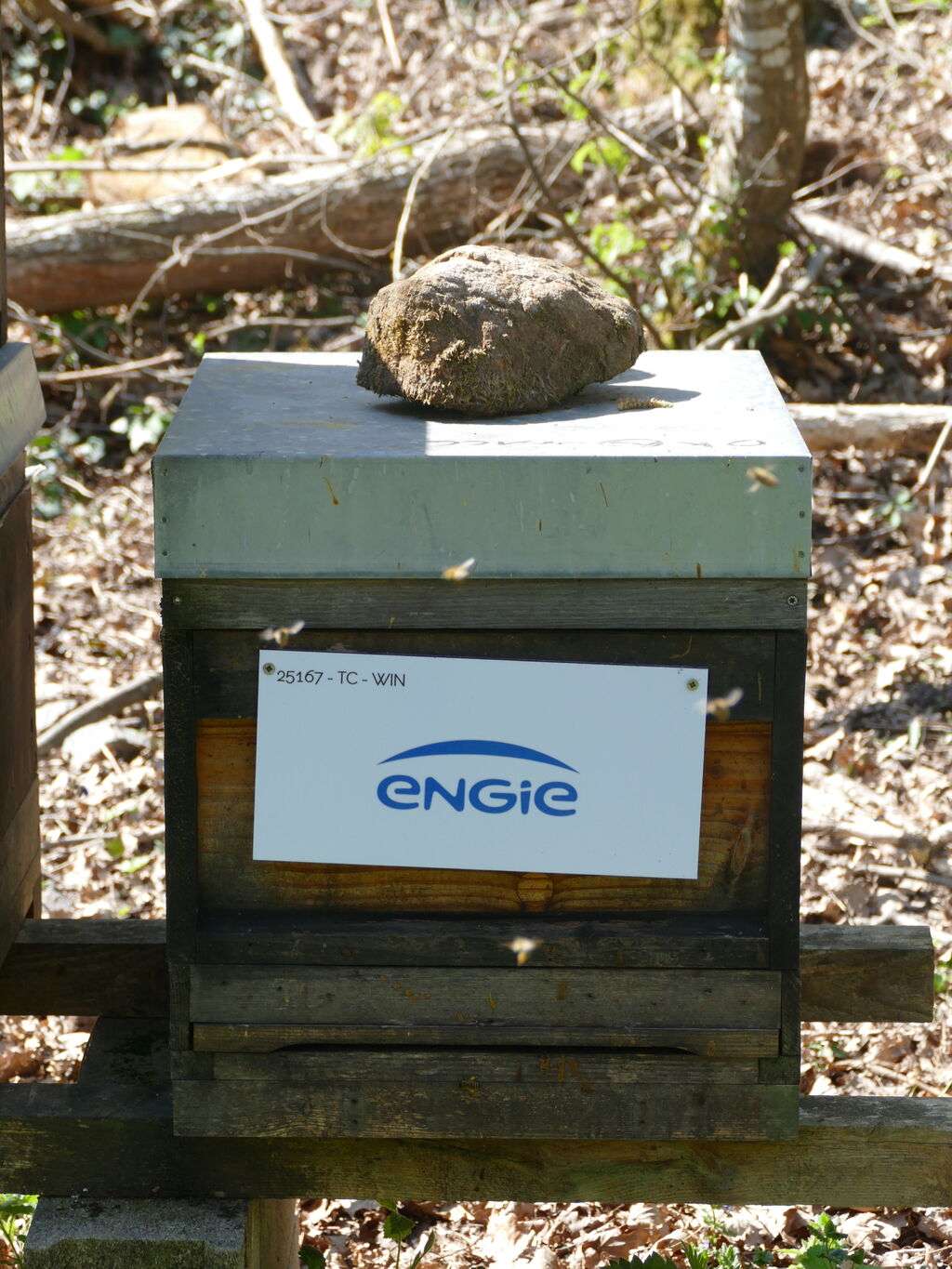 La ruche ENGIE - MPPA