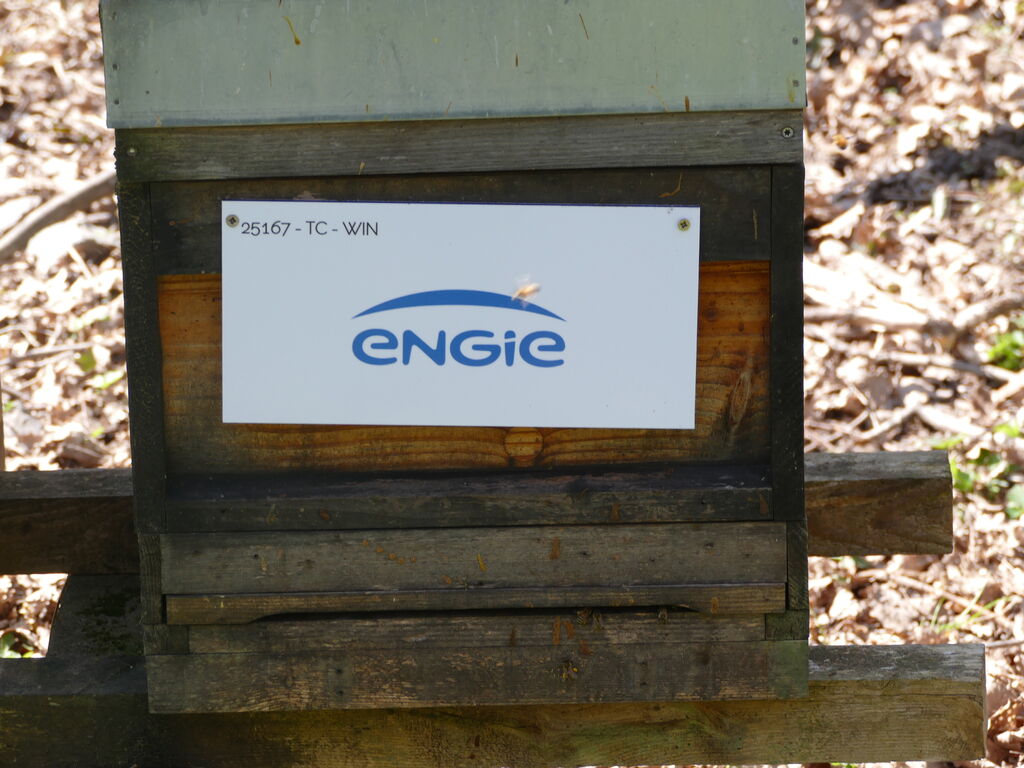 La ruche ENGIE - MPPA