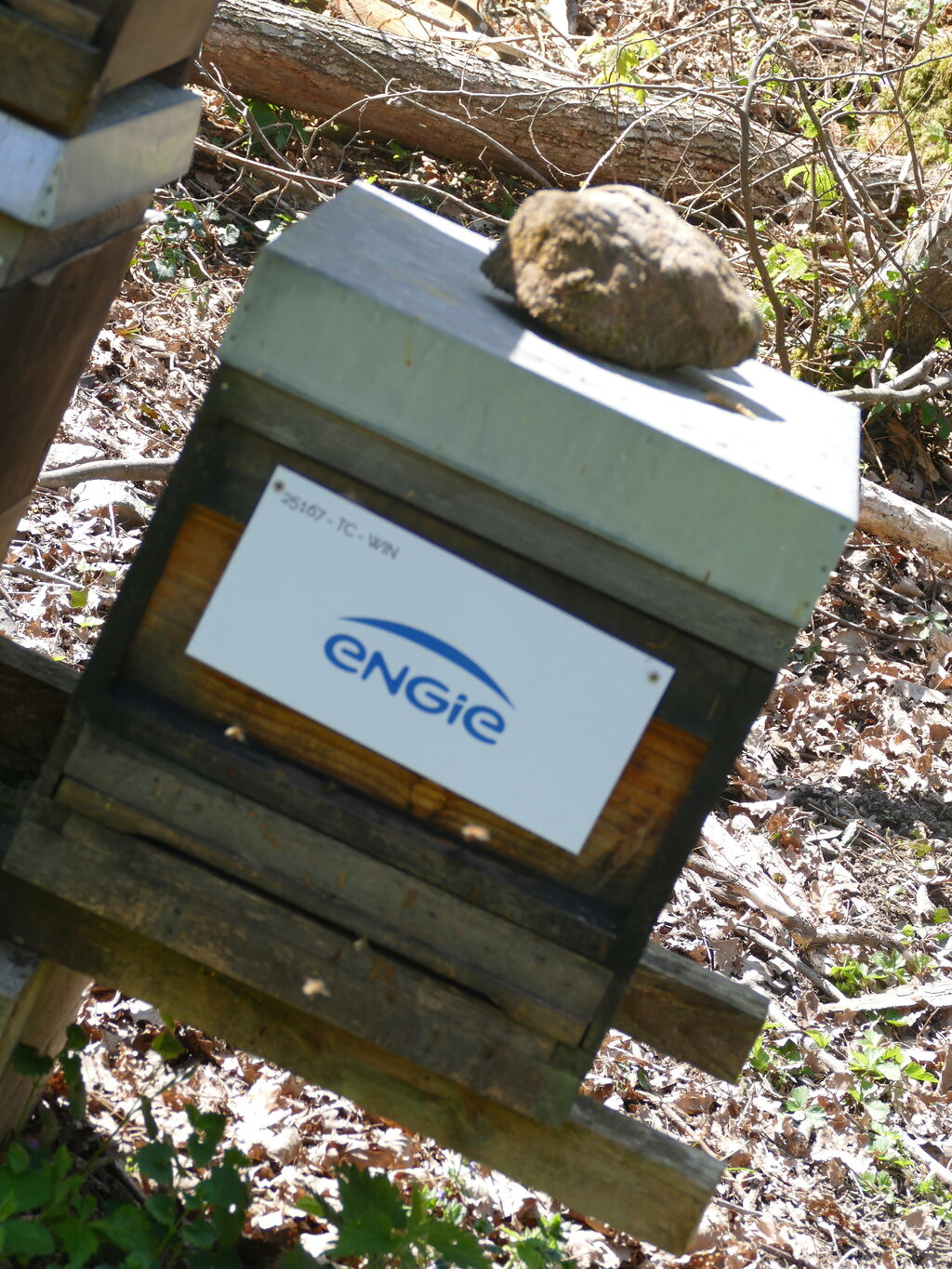 La ruche ENGIE - MPPA