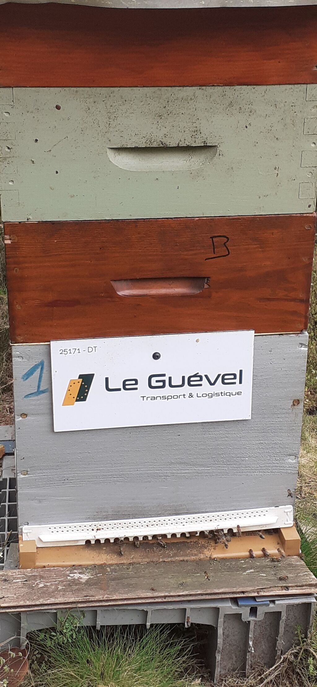 La ruche Astre - Le Guevel