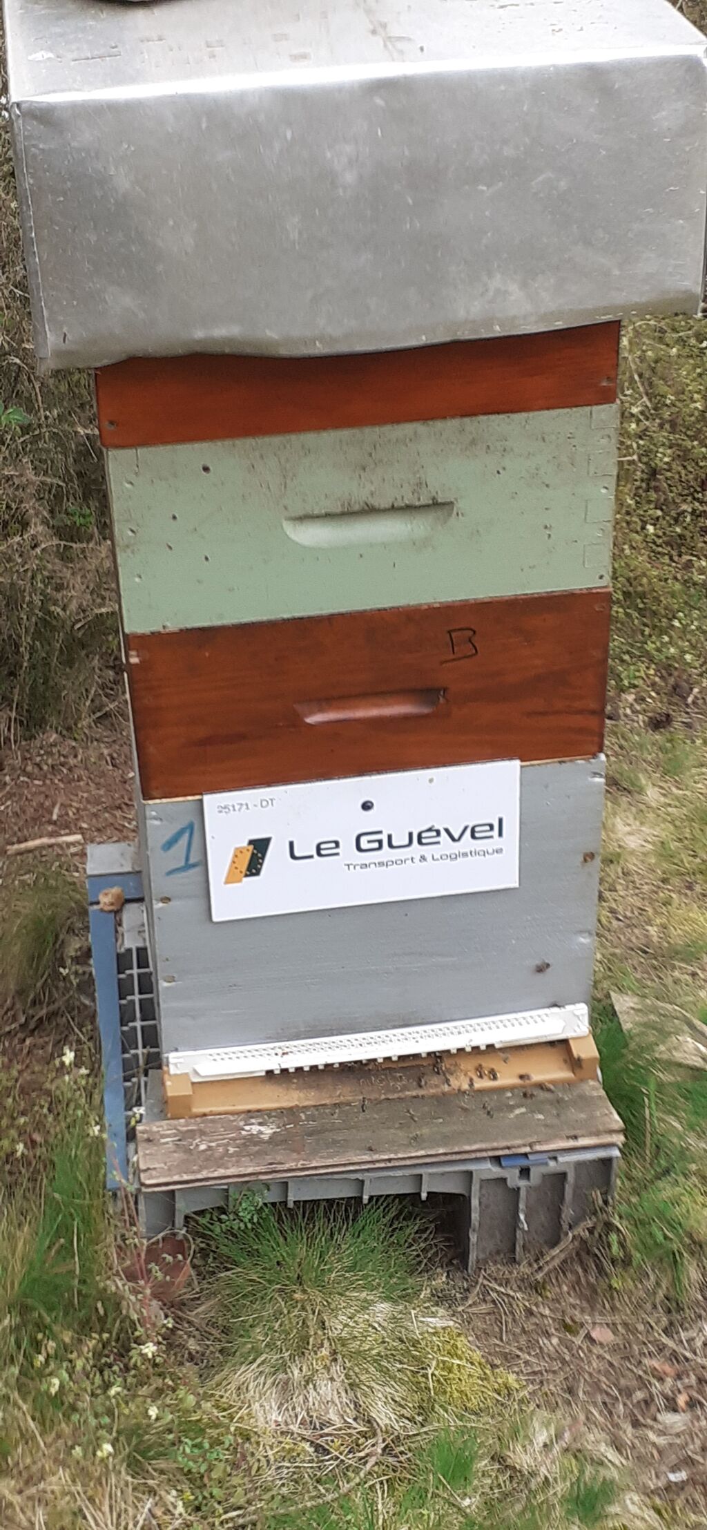 La ruche Astre - Le Guevel