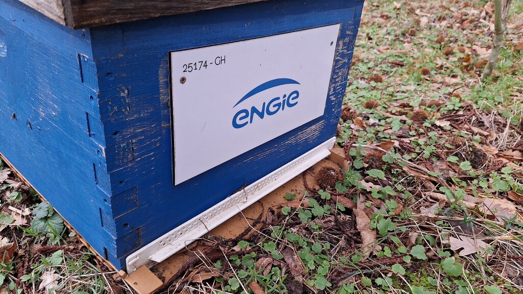 La ruche ENGIE - MPPA