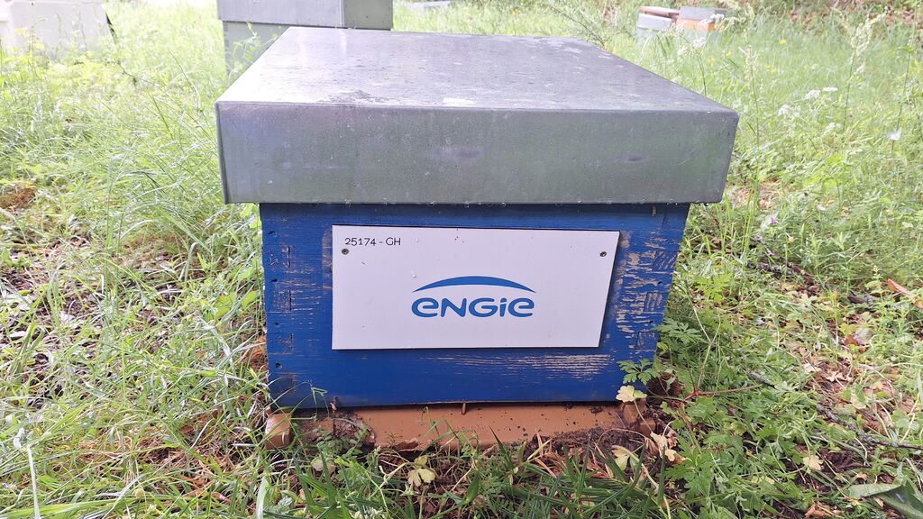 La ruche ENGIE - MPPA