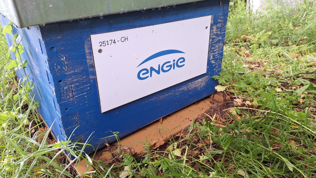 La ruche ENGIE - MPPA