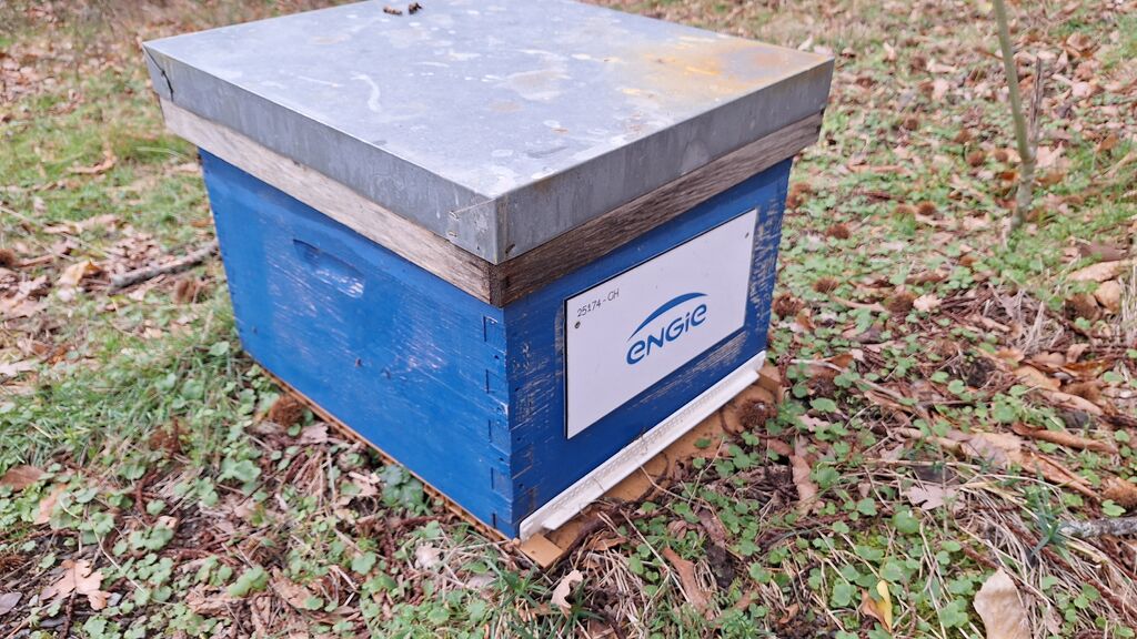 La ruche ENGIE - MPPA