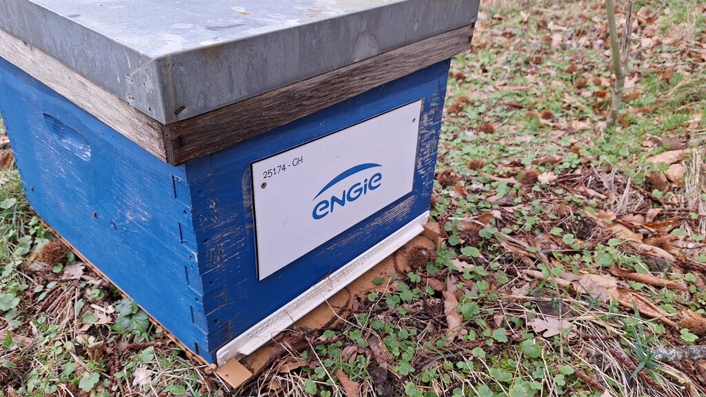 La ruche ENGIE - MPPA