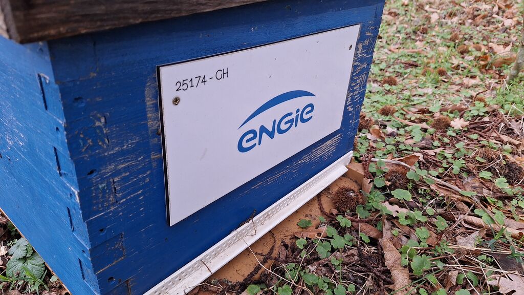 La ruche ENGIE - MPPA