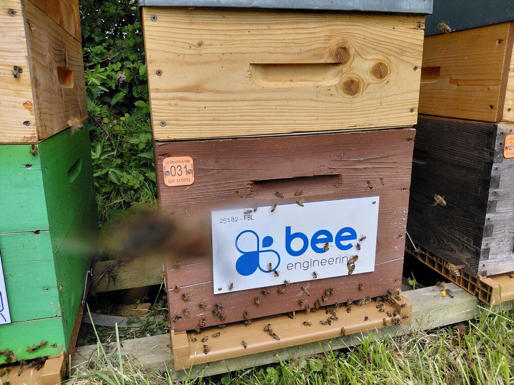 La ruche Bee engineering