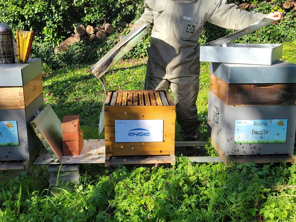 La ruche ENGIE - MPPA