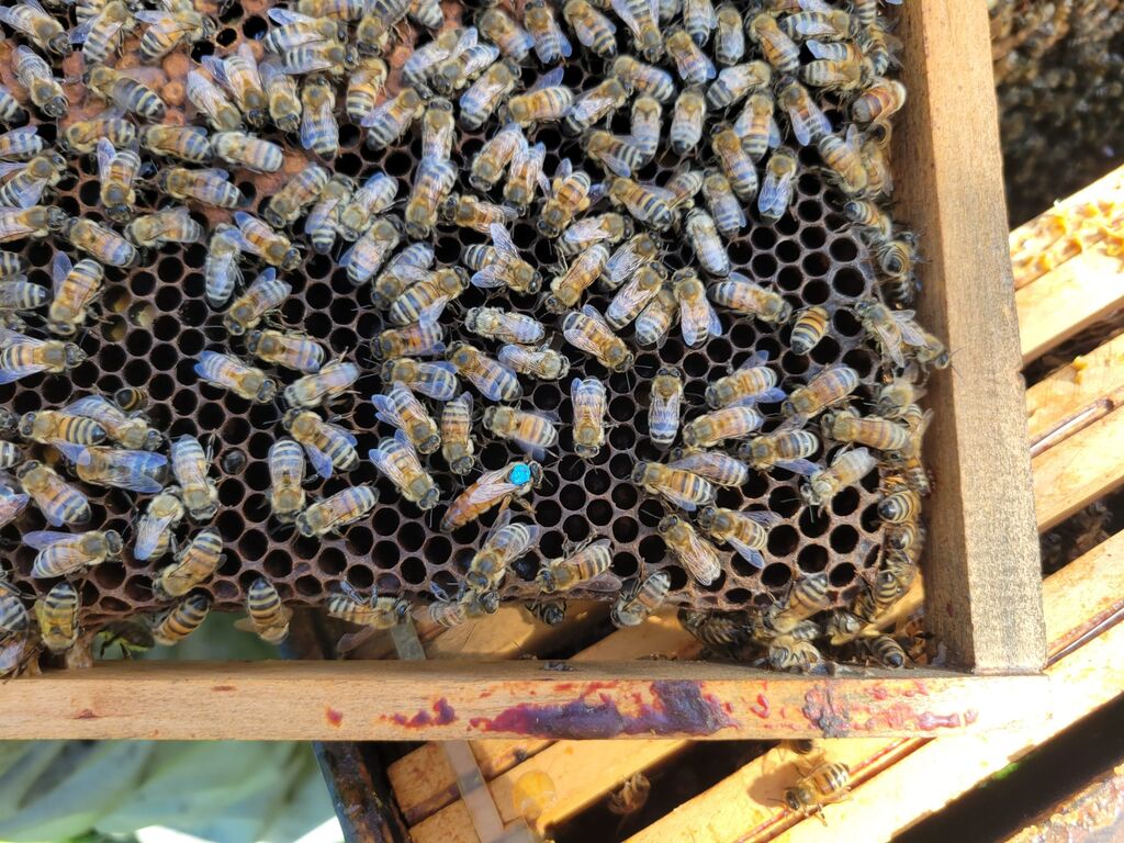 La ruche ENGIE - MPPA