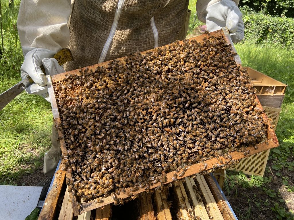 La ruche 123webimmo Poitou-Charentes