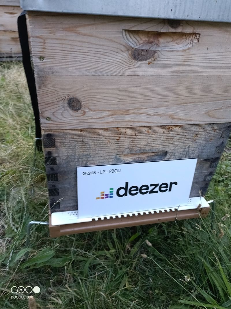 La ruche Deezer sa