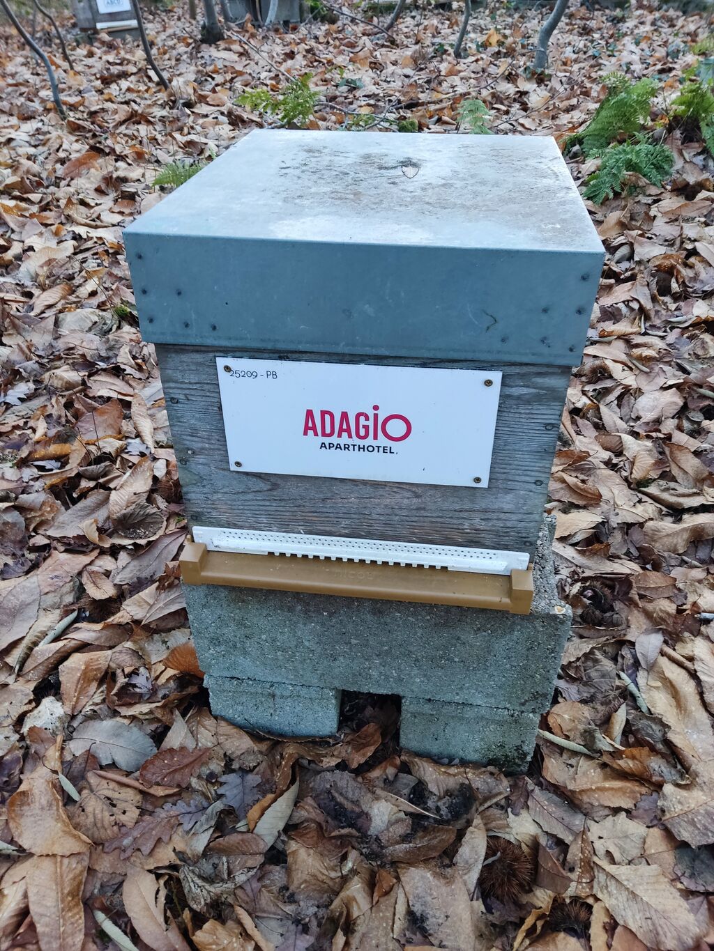 La ruche Adagio Access Colombes La Défense