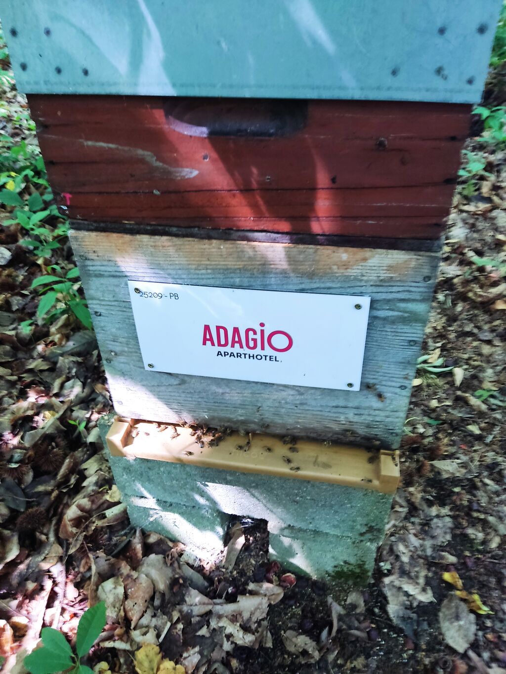 La ruche Adagio Access Colombes La Défense