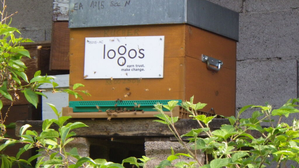La ruche L.s. europe - logos srl