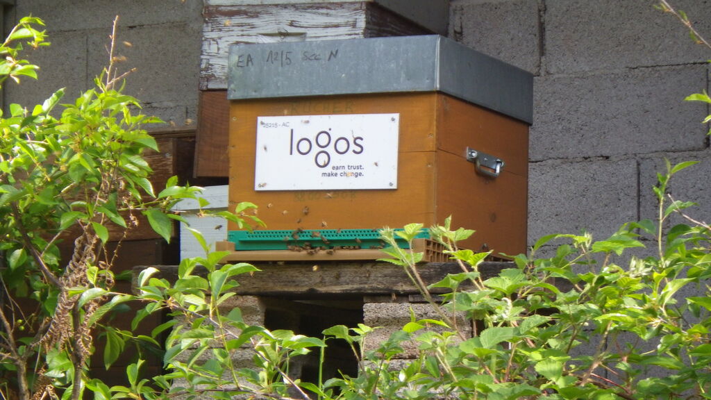 La ruche L.s. europe - logos srl