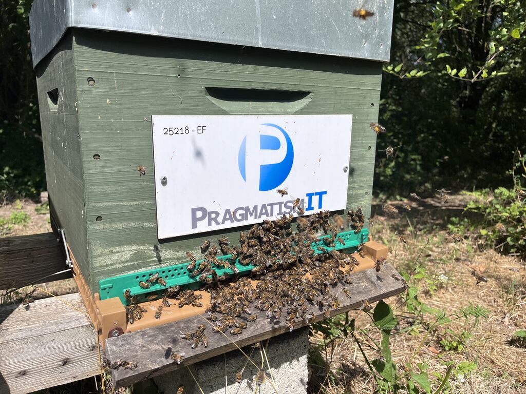 La ruche Pragmatism it